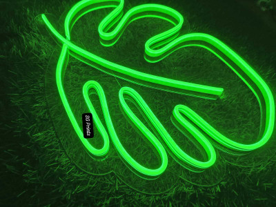 SG Print 240 LEDs 25 m Green Steady String Rice Lights(Pack of 1)