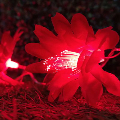 NISCO 20 LEDs 4.2 m Red Steady Flower Rice Lights(Pack of 1)