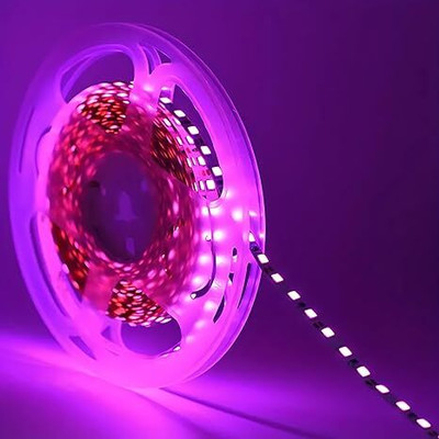 SAVORADE 240 LEDs 5 m Pink Steady Strip Rice Lights(Pack of 1)