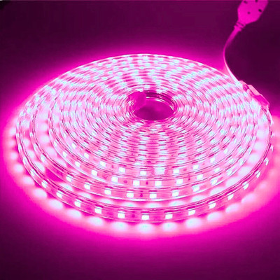 Volt Vision 1200 LEDs 5 m Pink Steady Strip Rice Lights(Pack of 1)