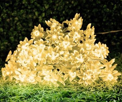 Infiprises 20 LEDs 4 m Yellow Steady Flower Rice Lights(Pack of 1)