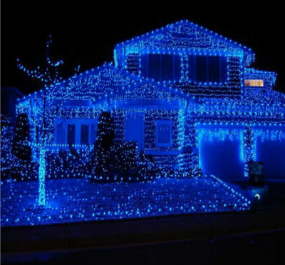 Local Charm 200 LEDs 7 m Blue Steady String Rice Lights(Pack of 10)