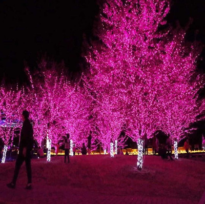 CANDLE 40 LEDs 11 m Pink Steady String Rice Lights(Pack of 1)