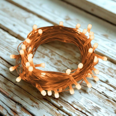 ERHIndia 48 LEDs 13 m Orange Steady String Rice Lights(Pack of 1)