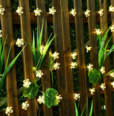 NISCO 20 LEDs 4 m Yellow Steady Flower Rice Lights(Pack of 1)
