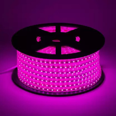 Daiwik 360 LEDs 5 m Pink Steady Strip Rice Lights(Pack of 1)
