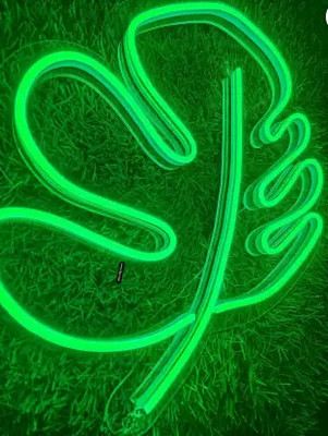 SG Print 240 LEDs 25 m Green Steady Bulb Rice Lights(Pack of 1)