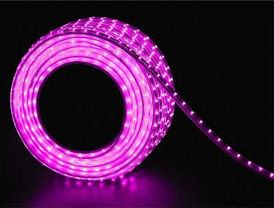 inooBeam 3000 LEDs 25.05 m Pink Steady String Rice Lights(Pack of 1)