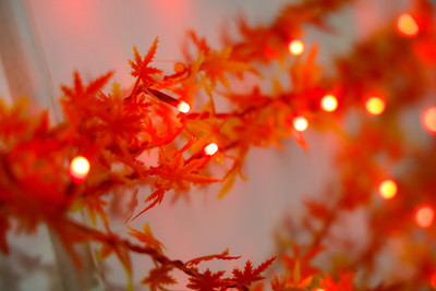 Tiny Toon 36 LEDs 15 m Orange Steady Leaf Rice Lights(Pack of 1)