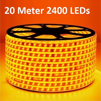 Trendx 2400 LEDs 20 m Gold Steady Strip Rice Lights(Pack of 1)