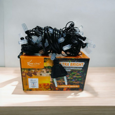 HASRU 42 LEDs 3 m Multicolor Steady Bottle Rice Lights(Pack of 1)