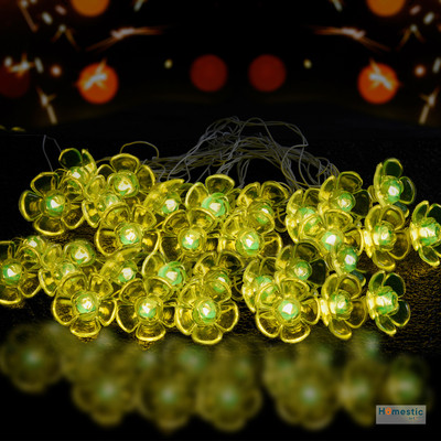 HOMESTIC 14 LEDs 10 m Green Steady Flower Rice Lights(Pack of 1)