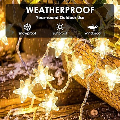 glowserie 14 LEDs 3 m Yellow Steady Star Rice Lights(Pack of 1)