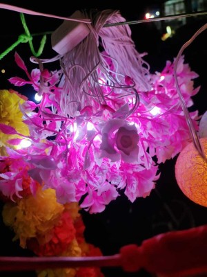 Madhucreation 55 LEDs 15 m Pink Steady Flower Rice Lights(Pack of 1)