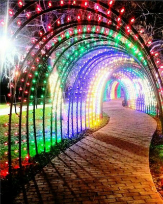 Business Squad 200 LEDs 7 m Multicolor Steady String Rice Lights(Pack of 10)
