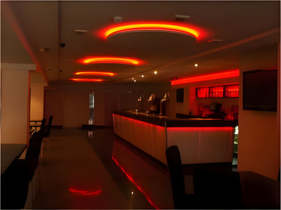 Vj Shree 75 LEDs 10 m Red Steady Strip Rice Lights(Pack of 1)