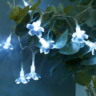 Infiprises 20 LEDs 4 m White Steady Flower Rice Lights(Pack of 1)
