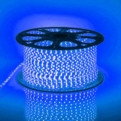 inooBeam 2282 LEDs 30.01 m Blue Steady Bulb Rice Lights(Pack of 1)