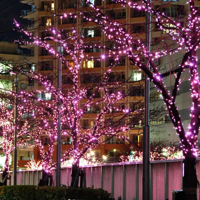 MUMU 42 LEDs 12 m Pink Steady Bulb Rice Lights(Pack of 2)
