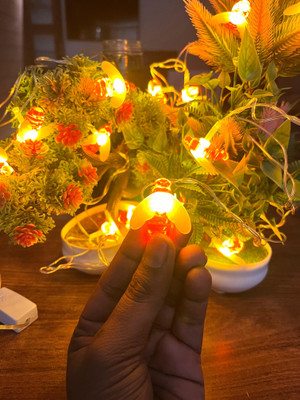 THEVIRAA 14 LEDs 4 m White Steady Butterfly Rice Lights(Pack of 1)