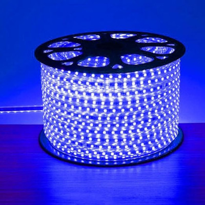 Peafowl Wholesale 1200 LEDs 20 m Blue Steady Strip Rice Lights(Pack of 1)