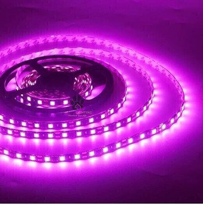 SHIVA 60 LEDs 4.5 m Pink Steady Strip Rice Lights(Pack of 2)