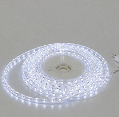 Moonlight 120 LEDs 10 m White Steady Strip Rice Lights(Pack of 1)