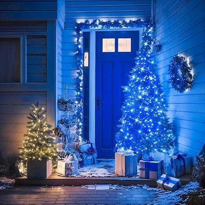 KINIS 200 LEDs 40 m Blue Steady String Rice Lights(Pack of 1)
