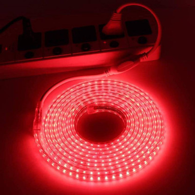 inooBeam 120 LEDs 3 m Red Steady Strip Rice Lights(Pack of 1)