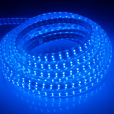 WBD 800 LEDs 5 m Blue Steady Strip Rice Lights(Pack of 1)