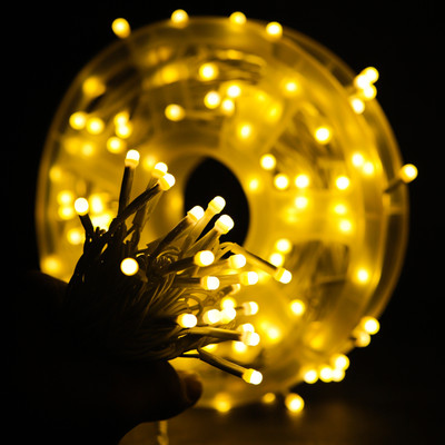 Lexton 250 LEDs 10 m White Steady String Rice Lights(Pack of 1)