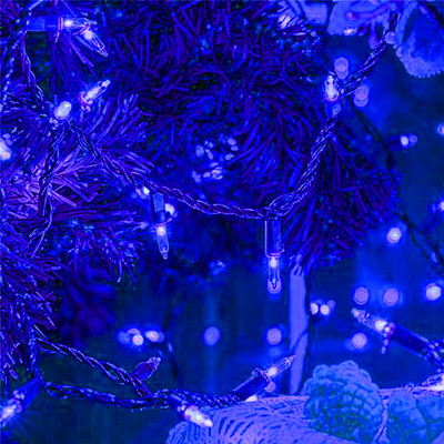 Kingdom 42 LEDs 10 m Blue Steady String Rice Lights(Pack of 1)