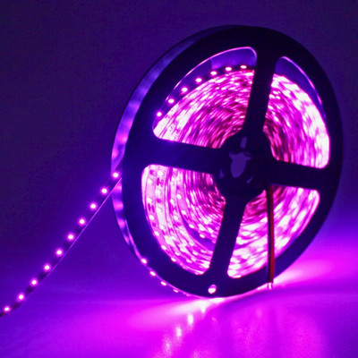 NORTIXON 120 LEDs 5 m Purple Steady Strip Rice Lights(Pack of 1)