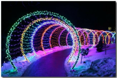 Business Squad 200 LEDs 7 m Multicolor Steady String Rice Lights(Pack of 10)