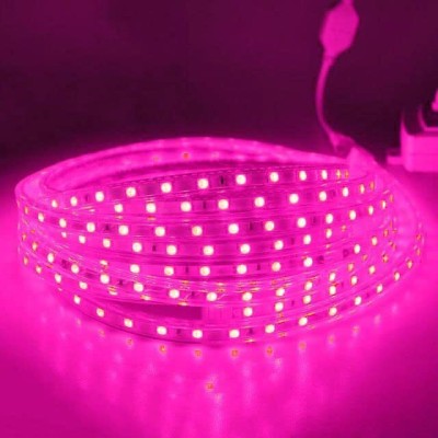 inooBeam 1802 LEDs 25.05 m Pink Steady Moon Rice Lights(Pack of 1)