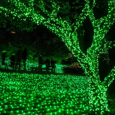 Budwill 56 LEDs 13 m Green Steady Strip Rice Lights(Pack of 1)