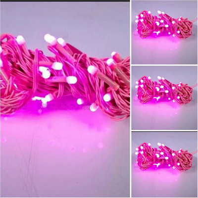 LightFlow 40 LEDs 10 m Pink Steady Bulb Rice Lights(Pack of 4)