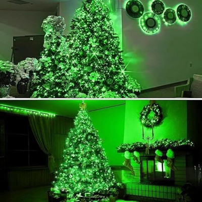 KINIS 200 LEDs 40 m Green Steady String Rice Lights(Pack of 1)