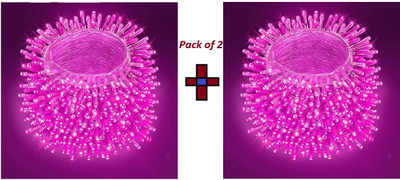 Biway 60 LEDs 20 m Pink Steady Ball Rice Lights(Pack of 2)