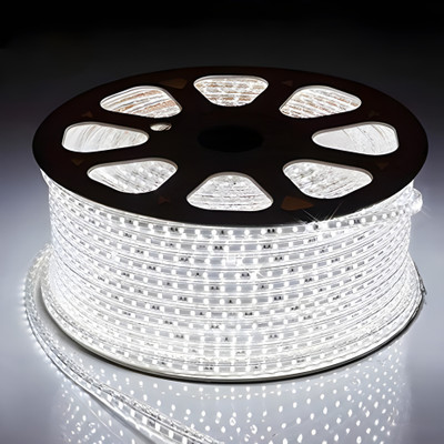 WBD 1680 LEDs 21 m White Steady Strip Rice Lights(Pack of 1)