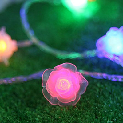 Infiprises 20 LEDs 4 m Multicolor Steady Flower Rice Lights(Pack of 1)