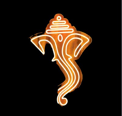 Luxury Sign India 240 LEDs 25 m Orange Steady Ganesh Rice Lights(Pack of 1)