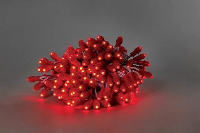 StrawHat 50 LEDs 6.096 m Red Steady Bulb Rice Lights(Pack of 1)