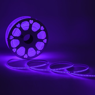 BENHEK 1200 LEDs 10 m Blue Steady Strip Rice Lights(Pack of 1)