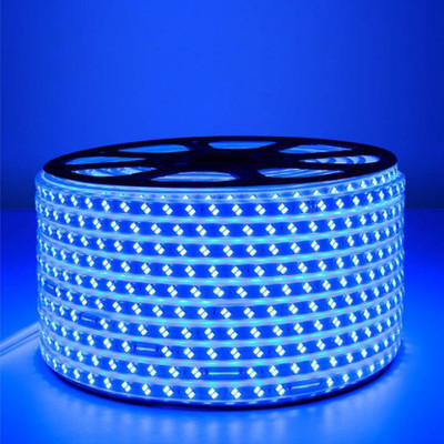 inooBeam 3522 LEDs 40.025 m Blue Steady String Rice Lights(Pack of 1)