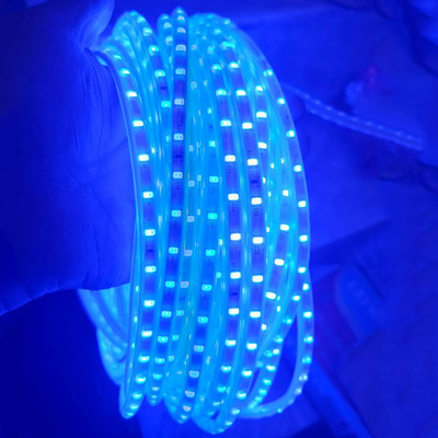 Ascension 360 LEDs 3 m Blue Steady Strip Rice Lights(Pack of 1)