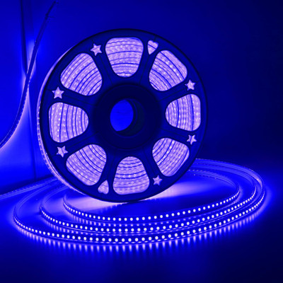 inooBeam 254 LEDs 3.02 m Blue Steady Strip Rice Lights(Pack of 1)