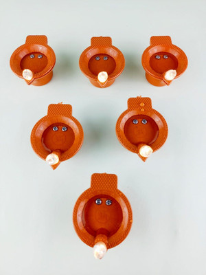 homely whimsy 1 LEDs 0.06 m Brown Steady Diya Rice Lights(Pack of 24)