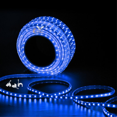 Errol 620 LEDs 10 m Blue Steady Strip Rice Lights(Pack of 1)