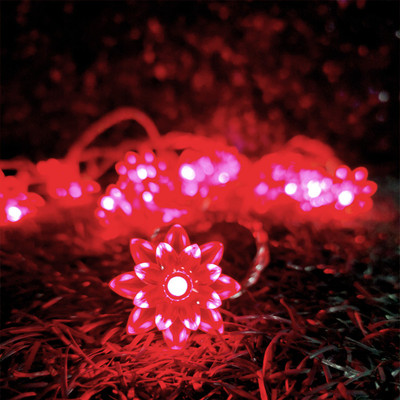 Infiprises 20 LEDs 4 m Red Steady Flower Rice Lights(Pack of 1)